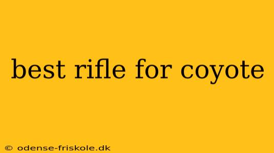 best rifle for coyote