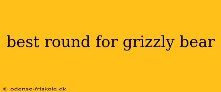 best round for grizzly bear