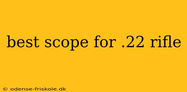 best scope for .22 rifle