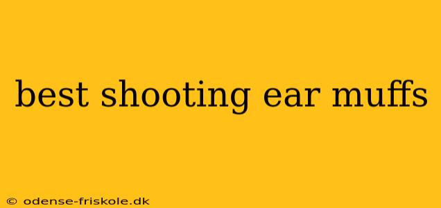 best shooting ear muffs