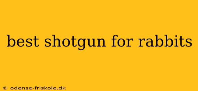 best shotgun for rabbits