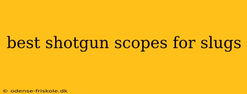 best shotgun scopes for slugs