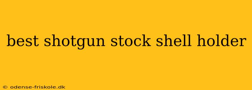 best shotgun stock shell holder