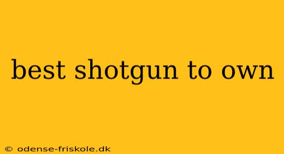 best shotgun to own