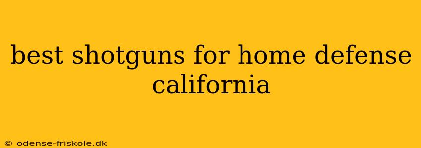 best shotguns for home defense california