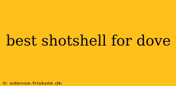 best shotshell for dove