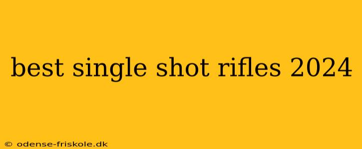 best single shot rifles 2024