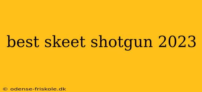 best skeet shotgun 2023