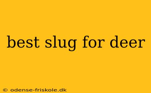 best slug for deer