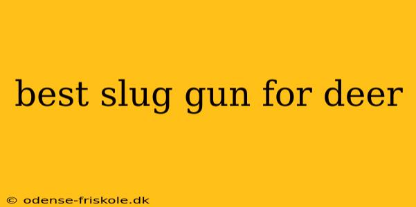 best slug gun for deer