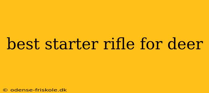 best starter rifle for deer