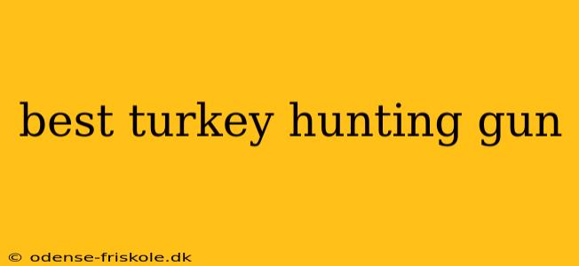 best turkey hunting gun