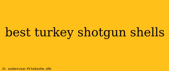 best turkey shotgun shells