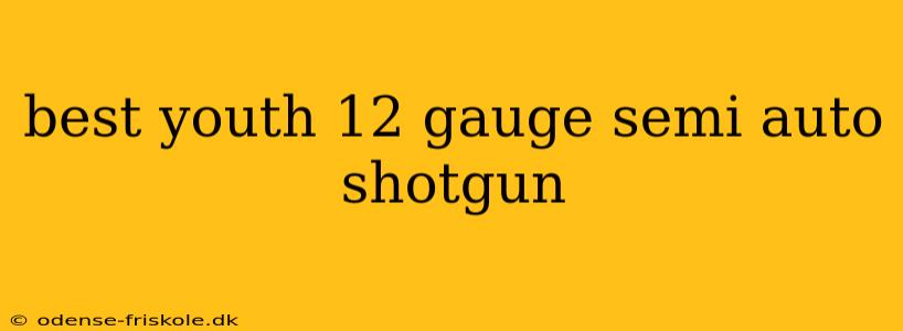 best youth 12 gauge semi auto shotgun