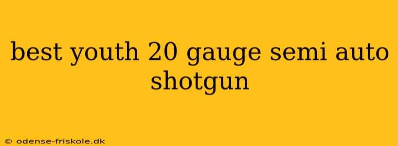 best youth 20 gauge semi auto shotgun