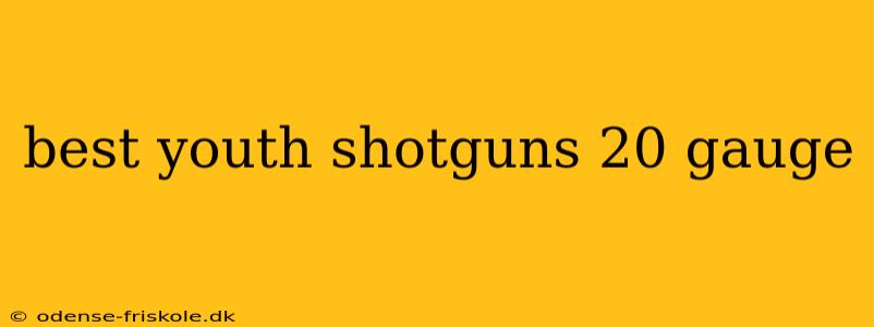 best youth shotguns 20 gauge