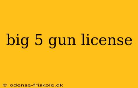 big 5 gun license