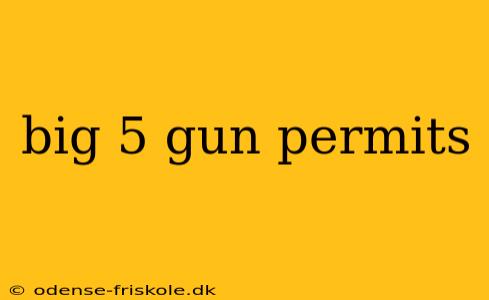 big 5 gun permits