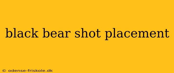 black bear shot placement