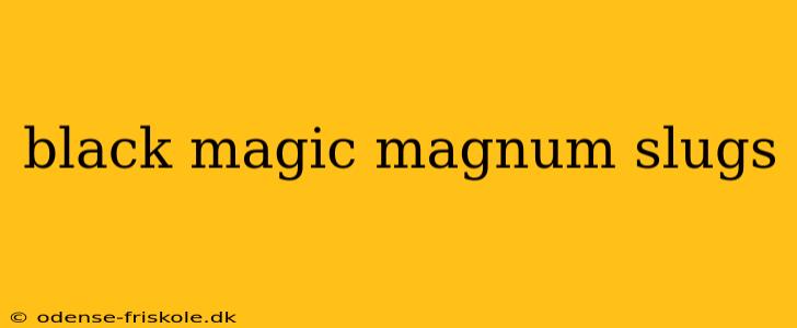 black magic magnum slugs