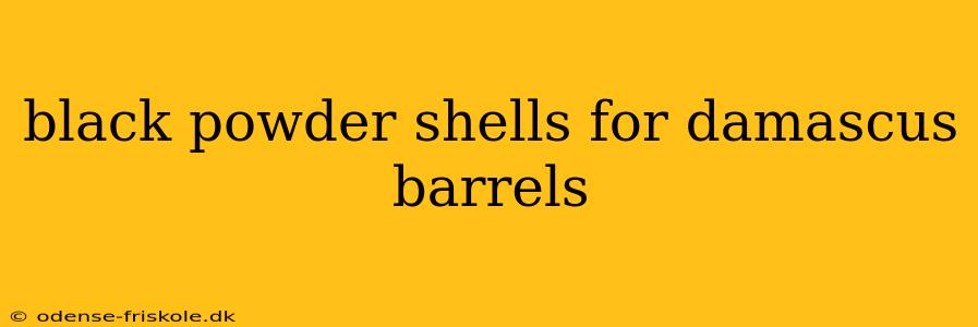 black powder shells for damascus barrels