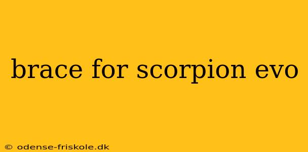 brace for scorpion evo