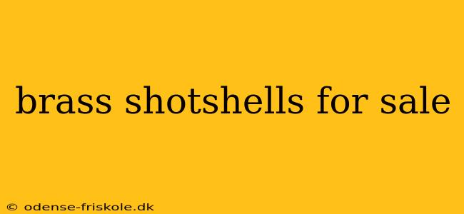 brass shotshells for sale