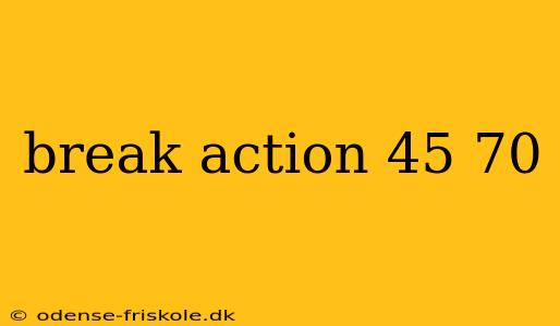 break action 45 70