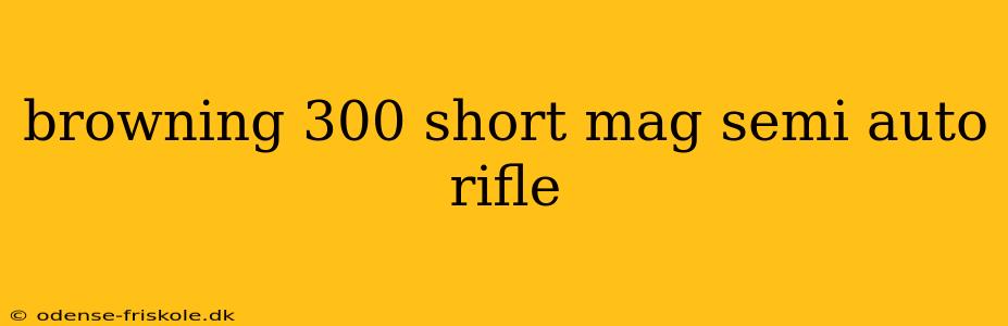 browning 300 short mag semi auto rifle