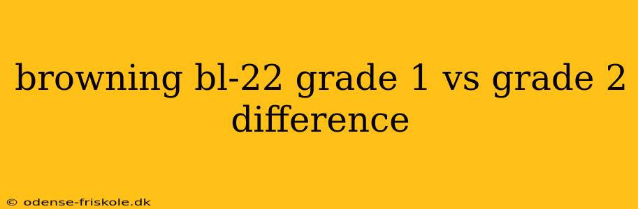 browning bl-22 grade 1 vs grade 2 difference