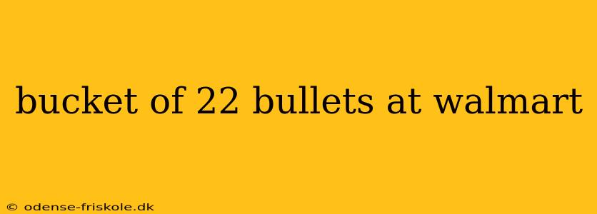 bucket of 22 bullets at walmart