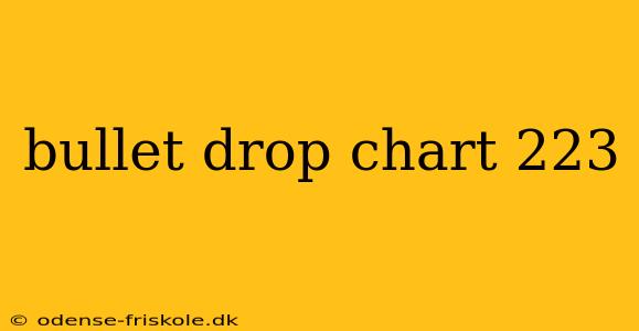 bullet drop chart 223