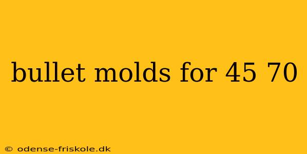 bullet molds for 45 70