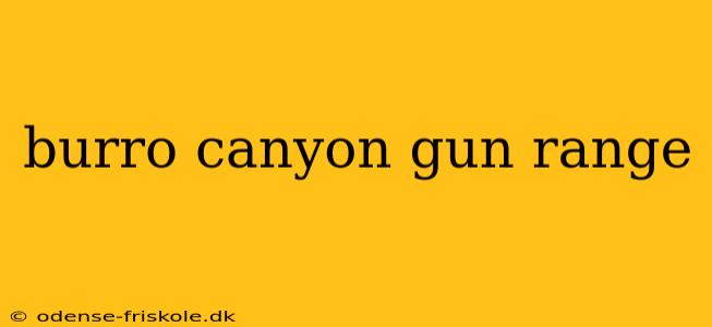 burro canyon gun range