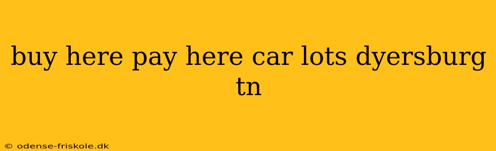 buy here pay here car lots dyersburg tn