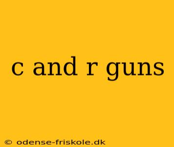 c and r guns