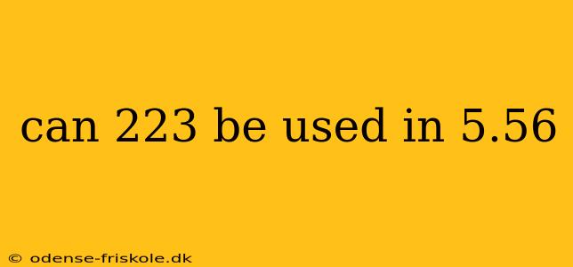 can 223 be used in 5.56