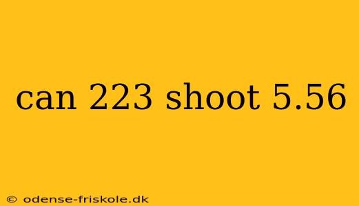 can 223 shoot 5.56