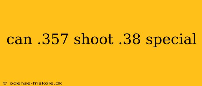 can .357 shoot .38 special