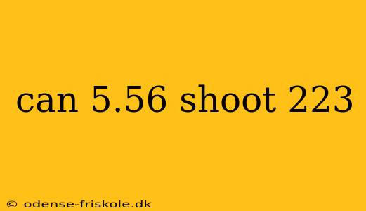 can 5.56 shoot 223