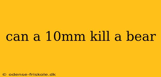 can a 10mm kill a bear