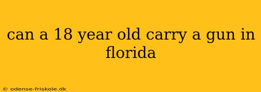 can a 18 year old carry a gun in florida