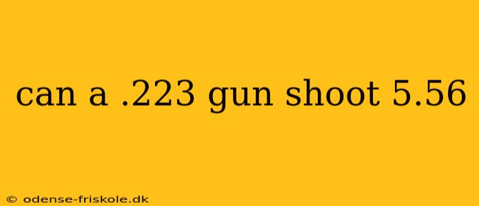 can a .223 gun shoot 5.56