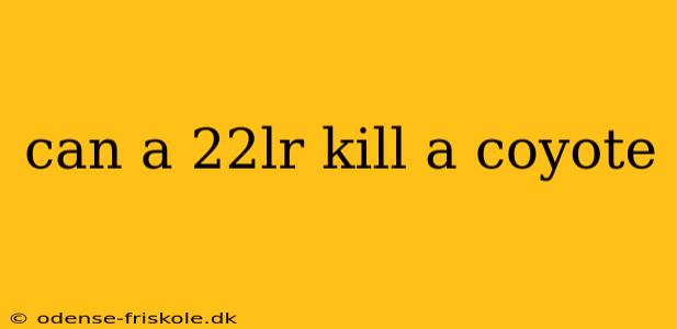 can a 22lr kill a coyote