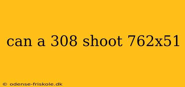 can a 308 shoot 762x51