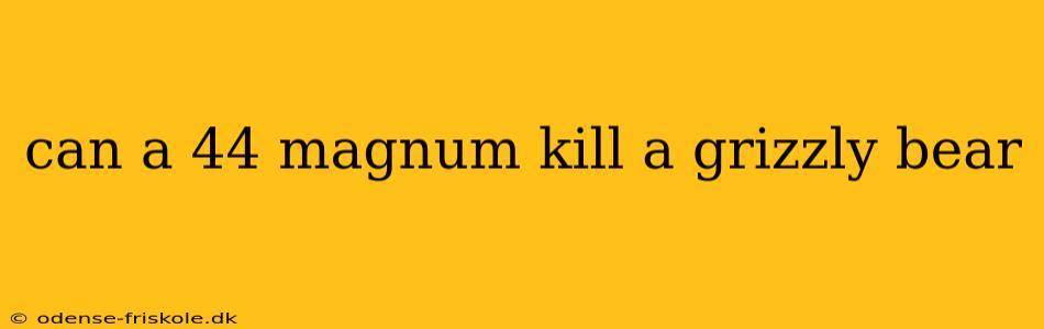 can a 44 magnum kill a grizzly bear