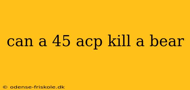 can a 45 acp kill a bear