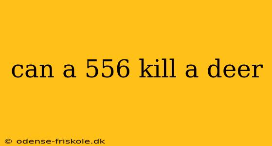 can a 556 kill a deer