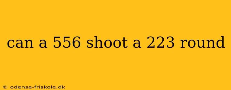 can a 556 shoot a 223 round