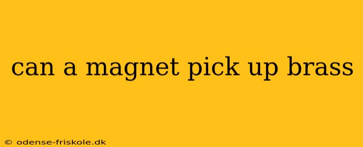 can a magnet pick up brass